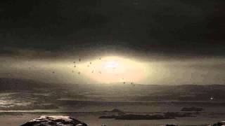 Betül - Bir Masal Kuşu