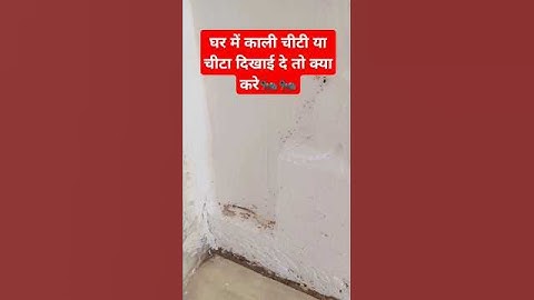 घर में काली चीटी या चीटा दिखाई दे तो क्या करे🐜#pandit_pradeep_ji_mishra#mahadev#viralvideo#shiv#upay