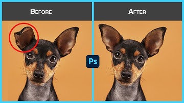How to Flip/Mirror image using Clone Stamp Tool in Photoshop | Adobe Photoshop Tutorial for Beginner