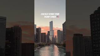 Chicago down town #chicago #trumptower #downtown #usa #trending #youtubeshorts