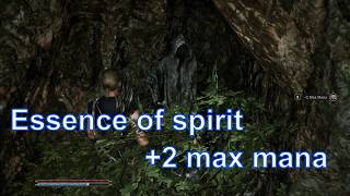 Essence of spirit near the Old Camp, free magic boost, +2 max mana, Gothic 1 Remake