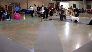 DSCN0109.AVI