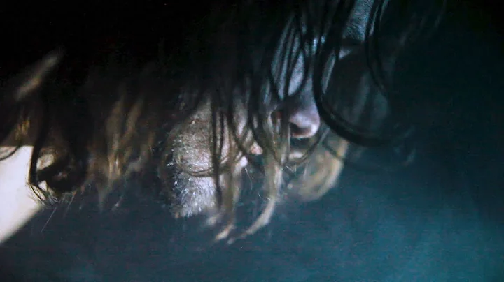 Pianos Become The Teeth - "Genevieve"