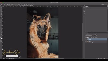 High Pass Technique in Photoshop (Sharpen any image)