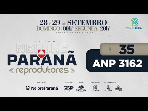 LOTE   35 ANP 3162