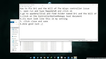 How To Fix Ori and the Will of the Wisps Controller Issue