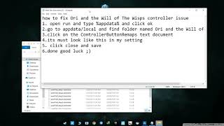 How To Fix Ori and the Will of the Wisps Controller Issue