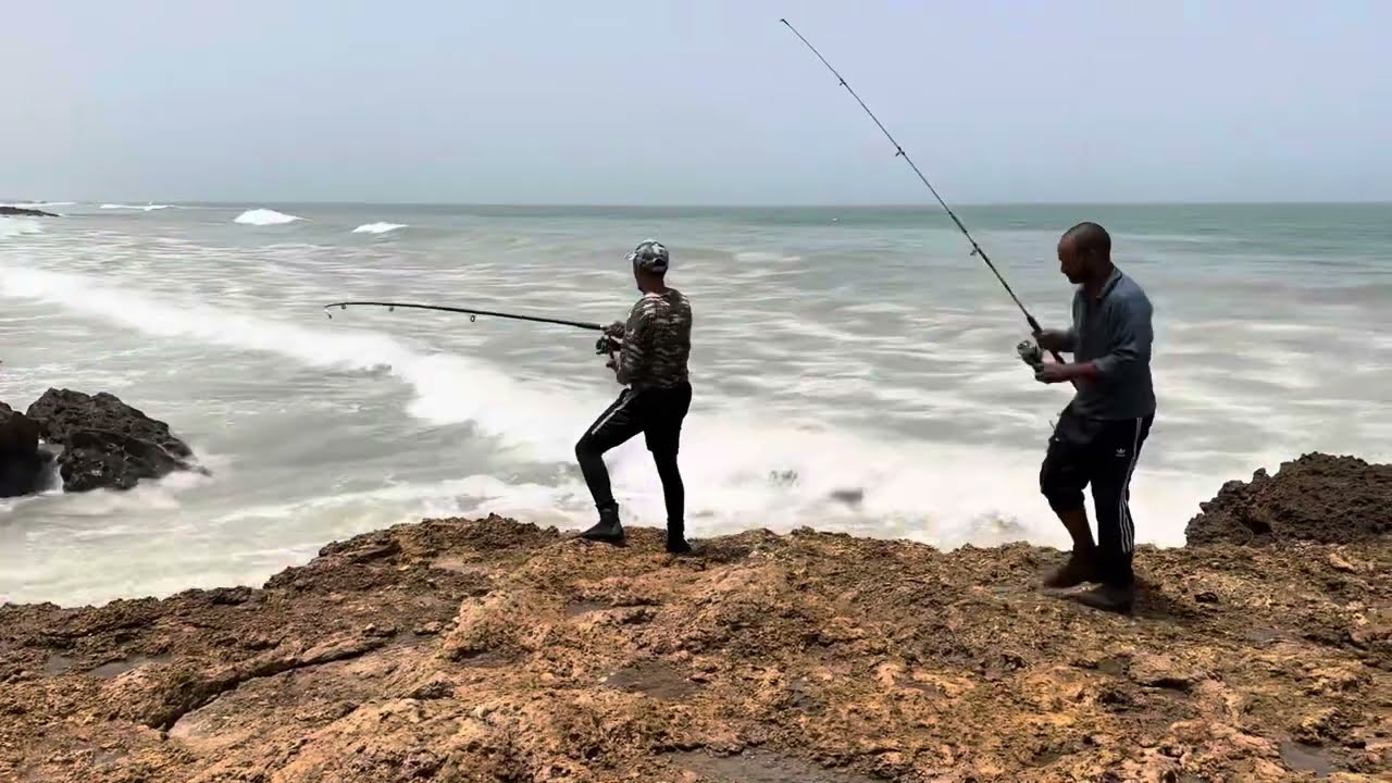 هجوم الاسماك بشاطئ نواحي طرفاية.