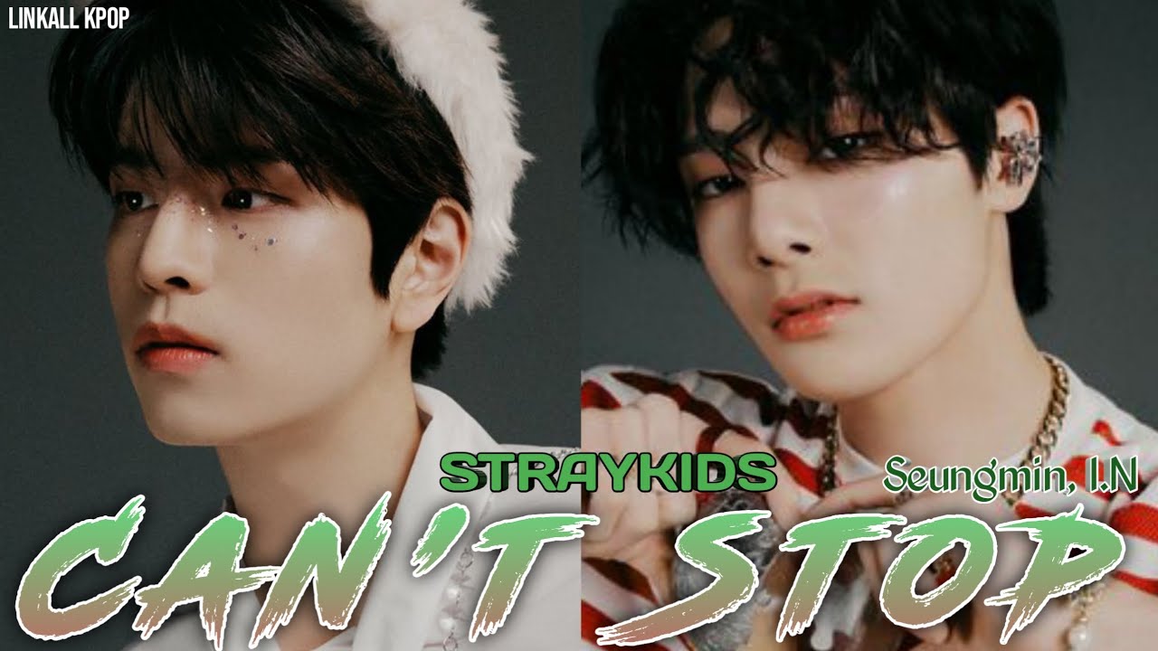 Stray Kids – Can’t Stop (나 너 좋아하나봐) (Seungmin, I.N) Color Lyrics - YouTube