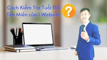 Cách Check Tuổi Đời Tên Miền, Cách Kiểm Tra Các Thông Số Của Tên Miền Khi Làm SEO Website