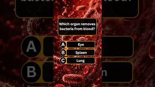 General Knowledge Quiz #shortsfeed #ytshorts #shortsbeta #quiz #youtubeshorts #generalknowledge