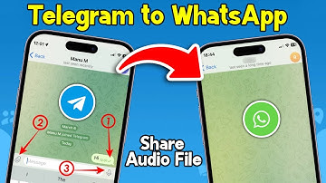 How To Share Audio File from Telegram to WhatsApp in iPhone - Full Guide