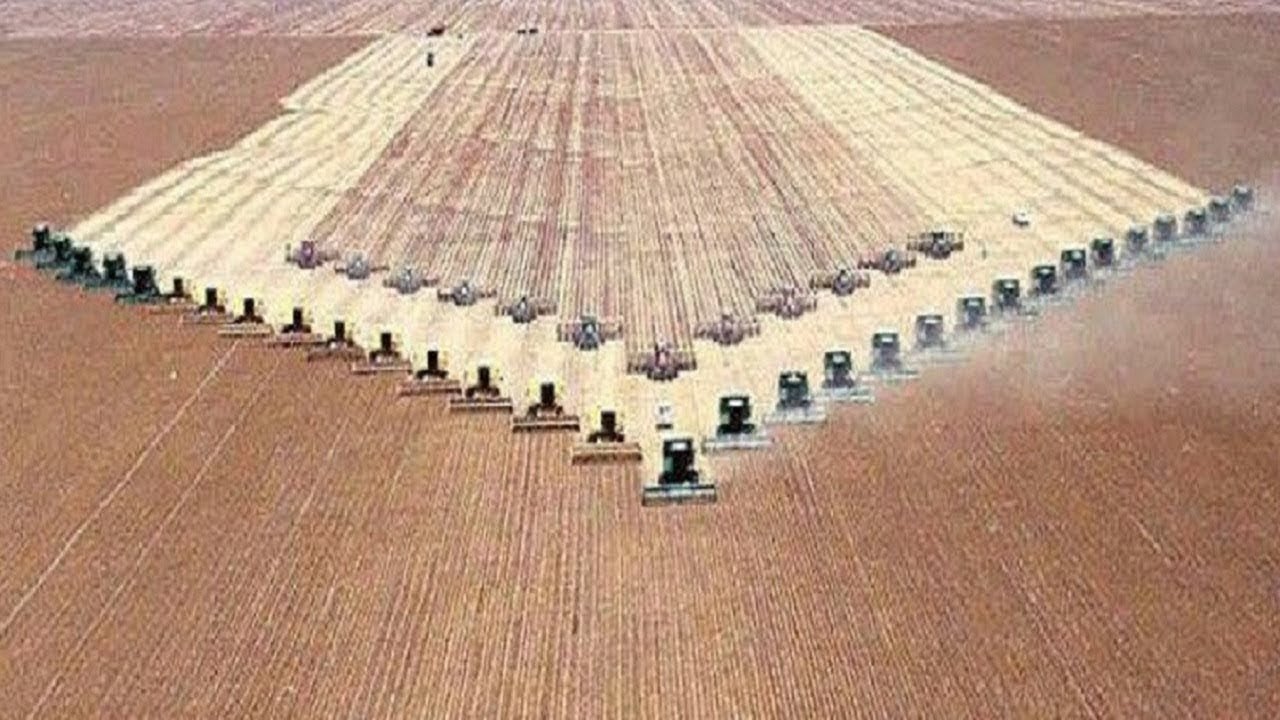 Corn Farming GoPro Footage Corn Harvest 2023