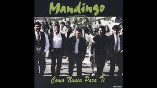 Mandingo - sálvenme...
