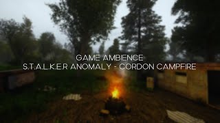 S.T.A.L.K.E.R. Anomaly │ Game Ambience │ Cordon Campfire