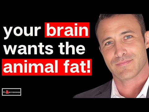 Thumbnail for 🔴 Why Animal Fats Are Crucial For The Human Brain