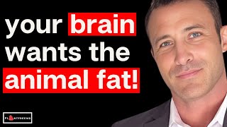🔴 Why Animal Fats Are Crucial For The Human Brain