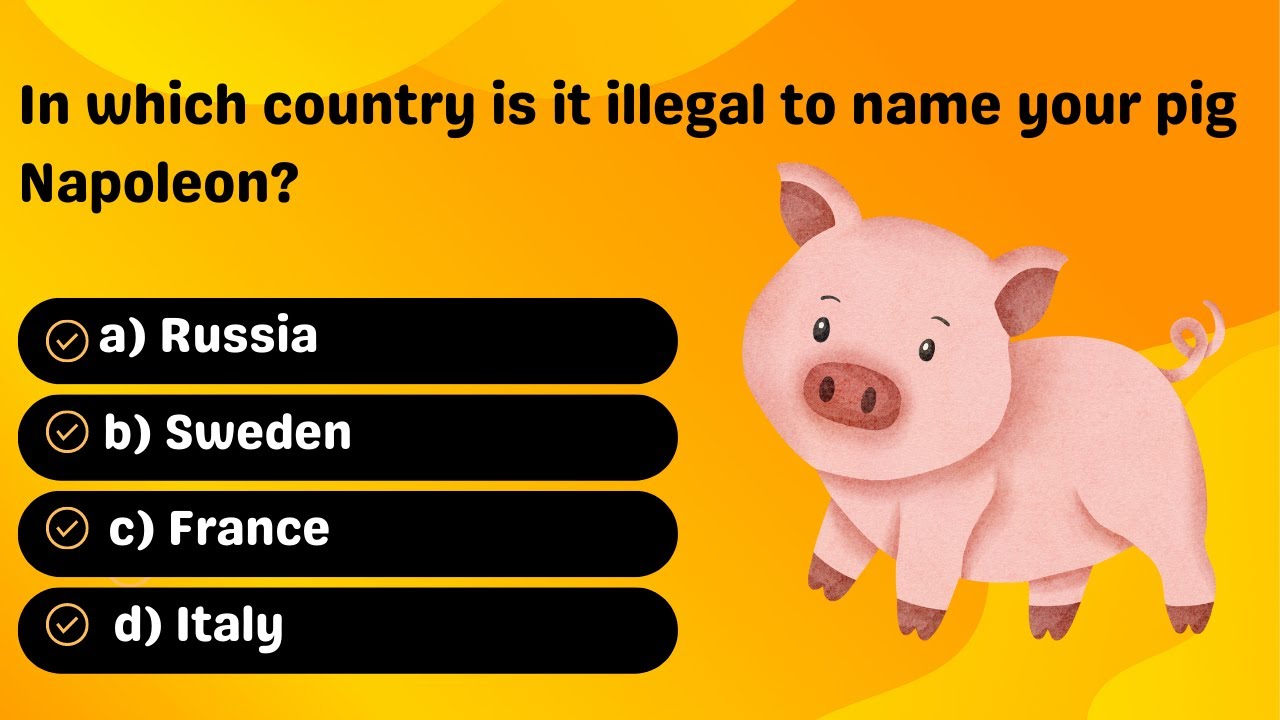 Can You Believe These Laws? Weird Laws Quiz YouTube