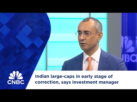 Indian large-caps in early stage of correction, says investment manager Episode cover