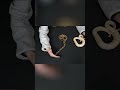 Is This the WEIRDEST Snake Ever Found