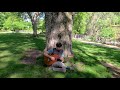 Beginning of video