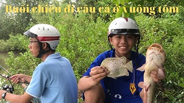 Buổi chiều câu cá vuông tôm