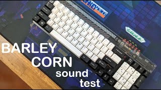 Barleycorn Keyboard Sound Test | Gateron Milky Yellow Switches