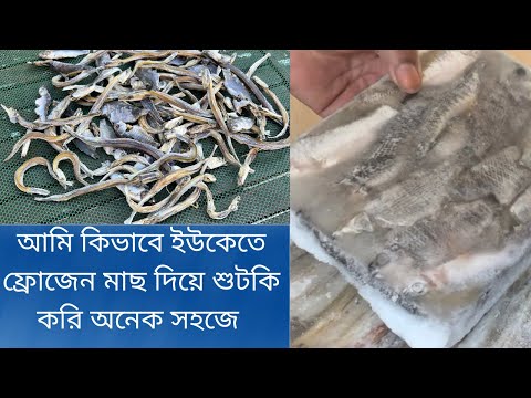 আমি কিভাবে ইউকেতে ফ্রোজেন মাছ দিয়ে বাসায় শুটকি করি সহজে /dry fish made at home with frozen fish