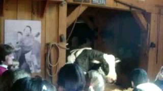 Billy Graham, Betsie the Talking Cow screenshot 5