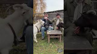 Два мужика и козы устроили деревенский подкаст 🐐😂 нейровидео SORA #AI #shorts