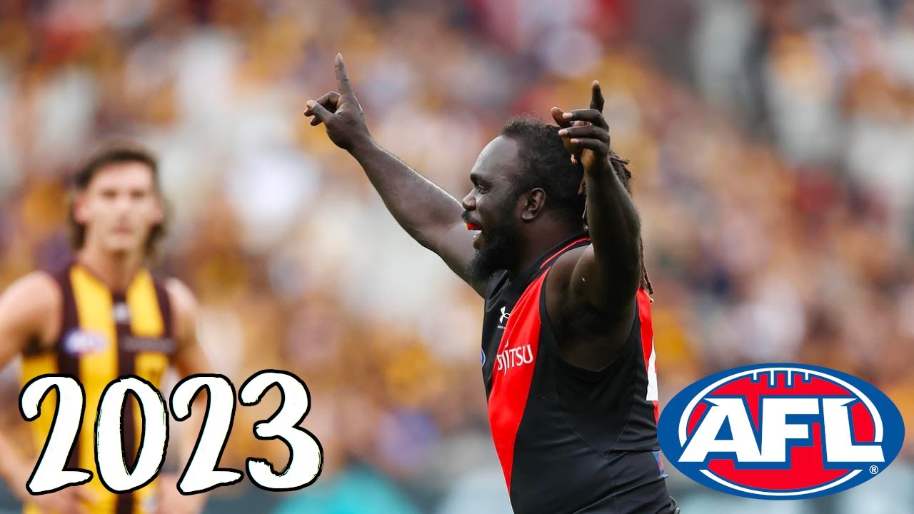 Anthony McDonald-Tipungwuti 2023 AFL Highlights