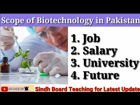 phd in biotechnology salary in pakistan