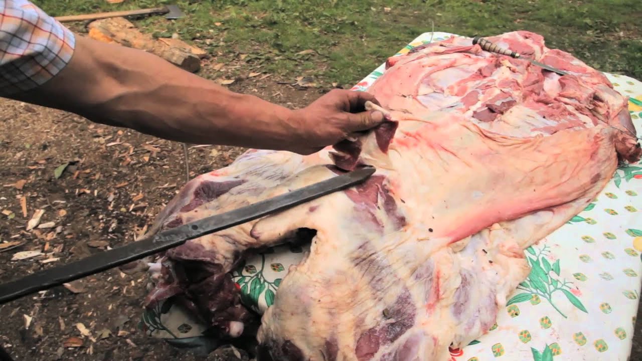 Asado al Palo. Visítanos en www.aysenprofundo.cl