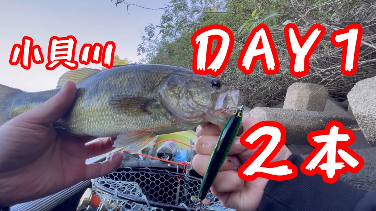 #トップウォーター #カヤックフィッシング#bassfishing #小貝川バス釣り#fishing #ボーマー#バングオー