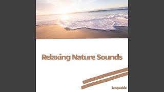 Sea Sleep Ambience - Brown Noise, Loopable