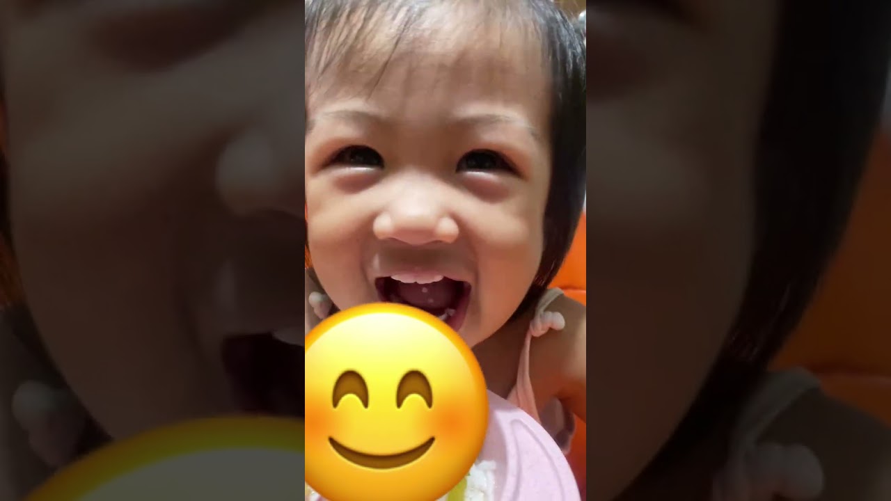 August 2024 random videos part 2 