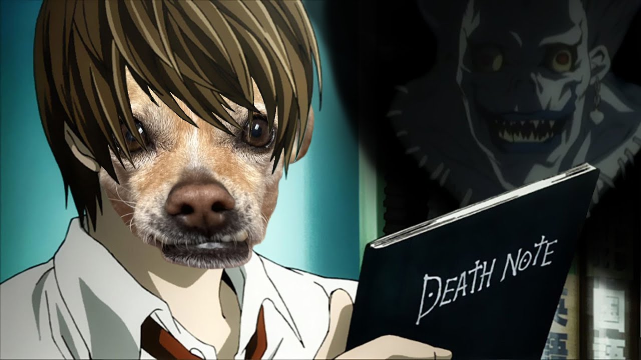 Social Security Number Death Index