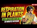 Respiration in Plants Revision in 30 minutes🔥| NEET 2026