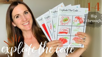 What to do after 100 EASY LESSONS // Explode the Code Flip Through // HELP MY CHILD READ