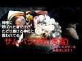 神様に呼ばれた者しかたどり着けないと言われてるサムハラ神社(奥宮)のエネルギーをお届けします！