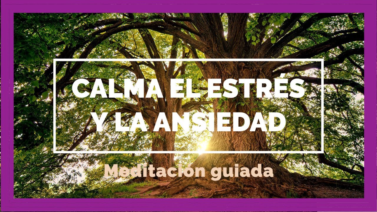 MEDITACIÓN guiada para CALMAR el ESTRÉS y la ANSIEDAD. - YouTube