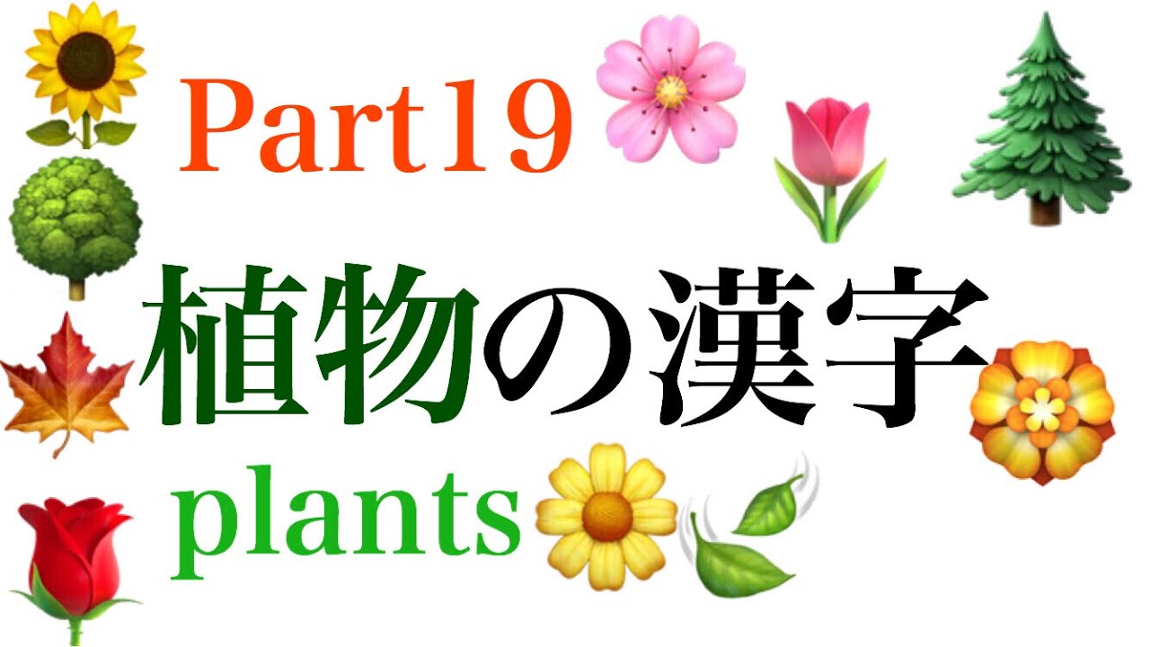 植物の漢字part19 Youtube