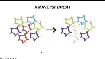 VICC GC 20240206: Lea Starita "Using MAVE