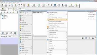 Design Same Name Entities in Oracle Net Worth