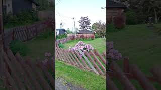 A quiet residential street in the Høybråten area #subscribe#norja #ytshorts #worldcup#football