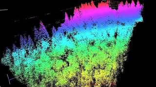 Power Line Network Modeling and Single Tree Detection from Airborne Point Clouds