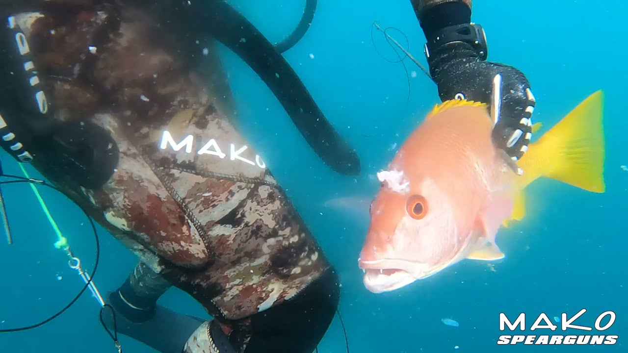 How To: Use the MAKO Spearguns Spike Fish Stringer