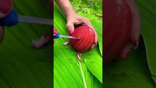Cara Unik Belah Jambu Air #jambuair