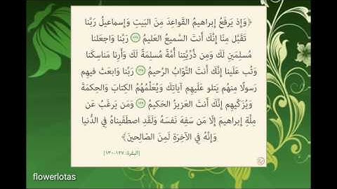 سورة البقرة من 127 الى 130🍃