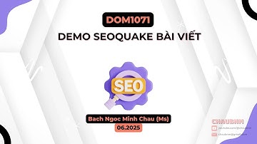 DOM1071 | Onpage - Hướng dẫn SEOQuake bài viết | Chaubnm